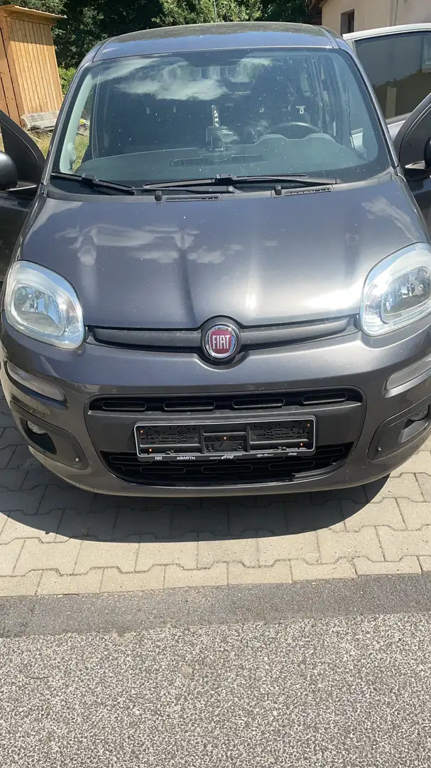 Fiat New Panda Grau - 1
