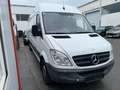 Mercedes-Benz Sprinter 313 Maxi Klima   Euro5 Weiß - thumbnail 2