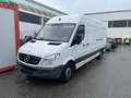 Mercedes-Benz Sprinter 313 Maxi Klima   Euro5 Weiß - thumbnail 1