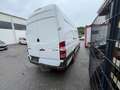Mercedes-Benz Sprinter 313 Maxi Klima   Euro5 Weiß - thumbnail 9
