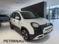 Fiat Panda 1.0 FireFly S&S Hybrid Pandina Cross 5 Posti Km.0 Blanc - thumbnail 3