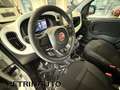 Fiat Panda 1.0 FireFly S&S Hybrid Pandina Cross 5 Posti Km.0 Blanc - thumbnail 13