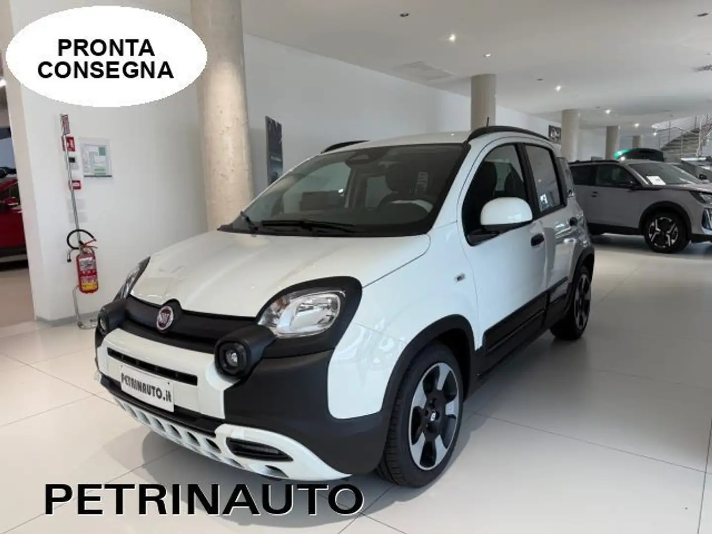 Fiat Panda 1.0 FireFly S&S Hybrid Pandina Cross 5 Posti Km.0 Bianco - 1