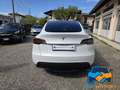 Tesla Model Y Long Range AWD *UNICO PROPRIETARIO* Bianco - thumbnail 5