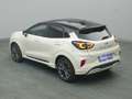 Ford Puma Sound Edition 155PS Aut./PDC/LED/B&O Bianco - thumbnail 19