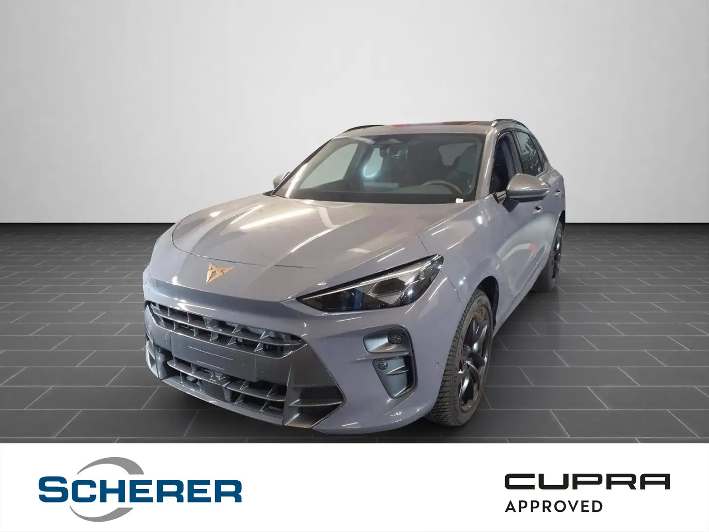 CUPRA Terramar VZ 2.0 TSI 4Drive MATRIX PANO SENNHEISE Grau - 1