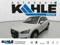 Audi Q2 1.0 TFSI Panorama Klima SHZ PDC Pano PDC Weiß - thumbnail 1
