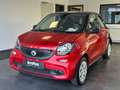 smart forFour forfour Rot - thumbnail 5