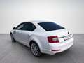Skoda Octavia Elegance TSI Bianco - thumbnail 3