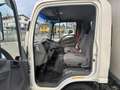 Isuzu NPR P60C15Frigo-20°C FRCX06 27 4150x2050x2000kg2280 Bianco - thumbnail 9