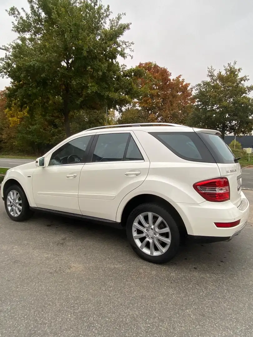 Mercedes-Benz ML 300 CDI BlueEFFICIENCY - 2