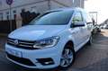 Volkswagen Caddy Maxi Comfortline|Automatik|7-Sitzer| Weiß - thumbnail 1