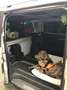 Mercedes-Benz Viano Viano 3.0CDI X-Clusive Larga Aut. X-Clusive Argintiu - thumbnail 5