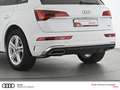 Audi Q5 40 TDI quattro S-LINE S-TRONIC MATRIX LED NAV PLUS Bianco - thumbnail 8