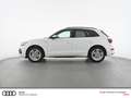 Audi Q5 40 TDI quattro S-LINE S-TRONIC MATRIX LED NAV PLUS Bianco - thumbnail 4