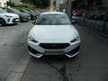 CUPRA Leon VZ 310 DSG 4D Sitzheiz/BEATS Audio/el.Heckklappe/ Bianco - thumbnail 2