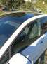 Volkswagen Golf Golf VIII 2020 1.4 GTE dsg Bianco - thumbnail 4