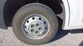 Fiat Ducato L2 H2 Blanc - thumbnail 11
