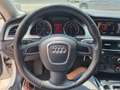 Audi A5 A5 Sportback 2.0 tdi Advanced 143cv Bianco - thumbnail 10