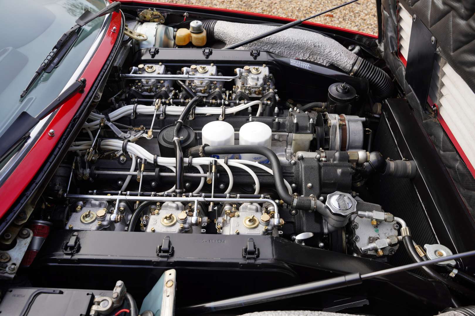 Ferrari 365 GT4 2+2 -  - Joinsteer - #3