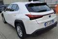 Lexus UX 250h 2.0 Business  2wd cvt Bianco - thumbnail 4