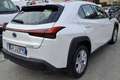 Lexus UX 250h 2.0 Business  2wd cvt Bianco - thumbnail 3