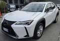 Lexus UX 250h 2.0 Business  2wd cvt Bianco - thumbnail 1