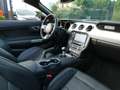 Ford Mustang Cabrio 2.3 i 317pk Full Option '17 59000km (06559) Noir - thumbnail 17