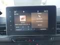 Renault Kangoo Van E-Tech Electric Advance EV45 22kW Weiß - thumbnail 10