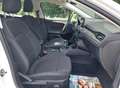 Ford Focus Lim. Titanium Weiß - thumbnail 6