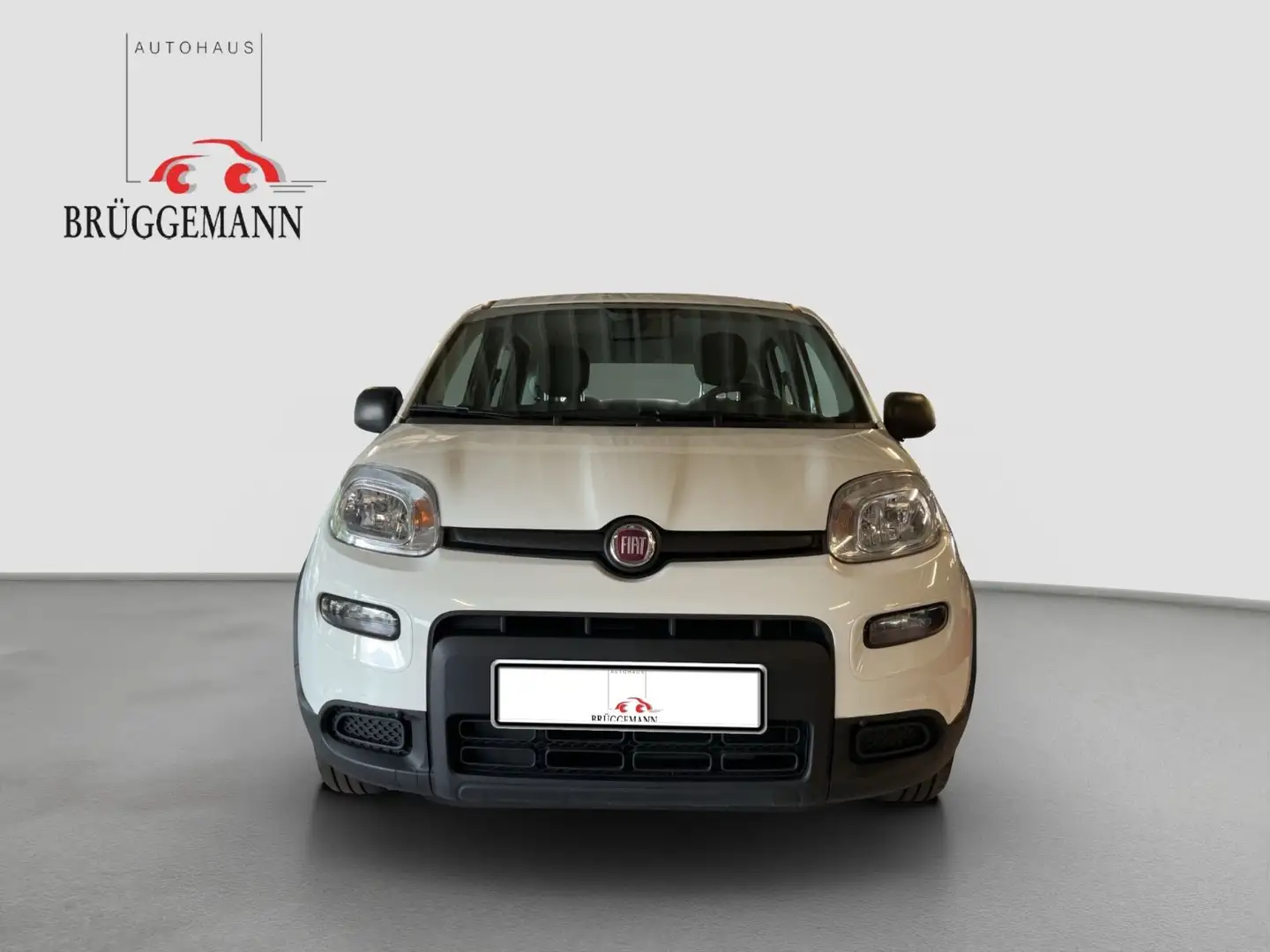 Fiat Panda 1.0 GSE Hybrid + Techpaket Weiß - 2