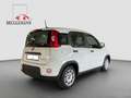 Fiat Panda 1.0 GSE Hybrid + Techpaket Weiß - thumbnail 6