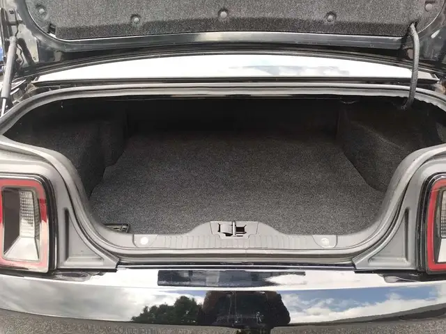 Ford Mustang view 10