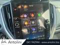 Subaru Crosstrek 2.0i e-Boxer MHEV CVT Lineartronic 4WILD Blu/Azzurro - thumbnail 15