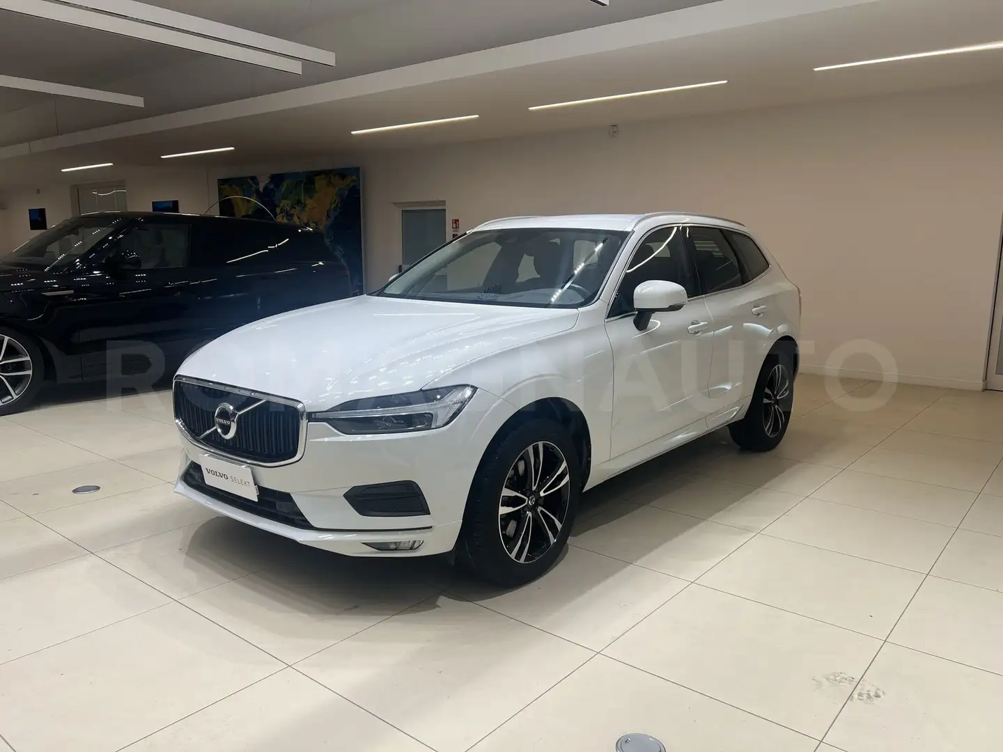 Volvo XC60 XC60 B4 (d) AWD Geartronic Momentum Pro N1 - AUTO Blanc - 1