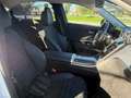 Mercedes-Benz C 200 d Blanco - thumbnail 14