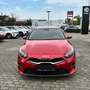 Kia Ceed / cee'd ceed 1,5 TGDI Gold 48V DCT Rot - thumbnail 1