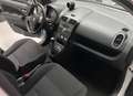 Suzuki Splash Splash  1.0 vvt GL Style 5p. OK neopatentati Bianco - thumbnail 6