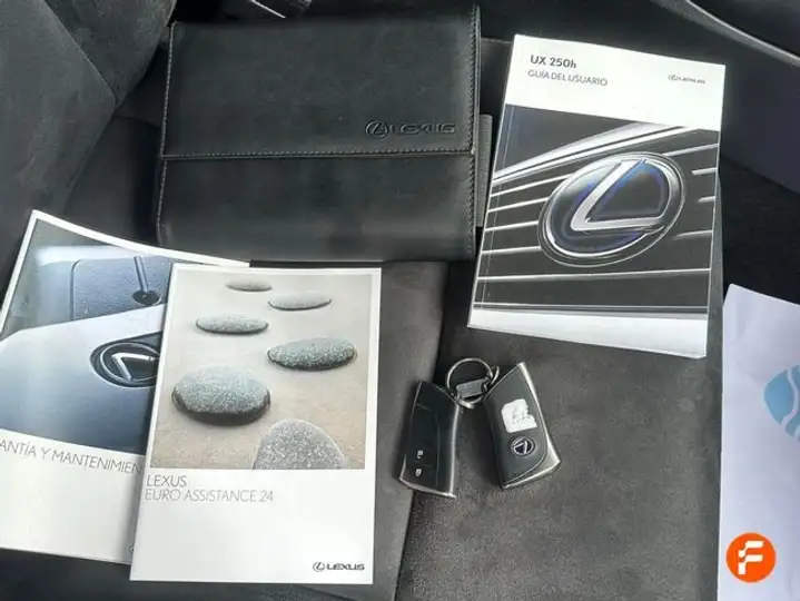 Lexus UX 250h BUSINESS 2020, foto 16