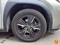 Lexus UX 250h 2.0 Business Gris - thumbnail 10