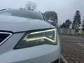 SEAT Ateca 1.6 tdi Xcellence Weiß - thumbnail 23