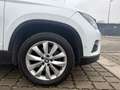SEAT Ateca 1.6 tdi Xcellence Weiß - thumbnail 16