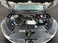 Ford Edge ST-Line 4x4 Facelift TDCI Automatik Allrad Weiß - thumbnail 14