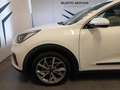 Kia Niro 1.6 GDi DCT PHEV Style Wit - thumbnail 7