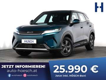 DM-i ACTIVE TAGESZULASSUNG OHNE KM