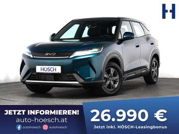 DM-i ACTIVE TAGESZULASSUNG OHNE KM