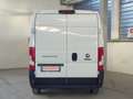 Fiat Ducato 35 2.3 MJT 130CV PL-TA Furgone Passo Lungo Tetto A Weiß - thumbnail 6