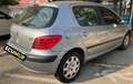 Peugeot 307 1.6i XR Aut. Gris - thumbnail 7