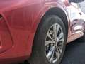 Ford Kuga Plug-In Hybrid ST-Line X KLIMA LED NAVI ALU Rojo - thumbnail 6