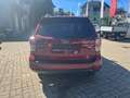 Subaru Forester FORESTER D 2.0 AWD Rojo - thumbnail 6